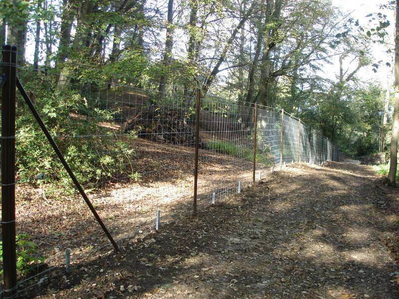 réalisation d'une clôture anti-gibier en Normandie 